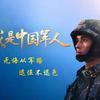 毛豆是金毛頭像