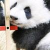 一顆小星星頭像