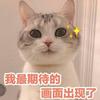 一條活鯉的頭像