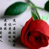 晨曦頭像
