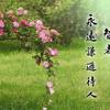 阿秋頭像