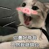 顧圖圖吖頭像