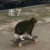 屁桃桃頭像