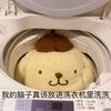 兔子今天翹班頭像