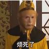 大晚上的不睡覺頭像