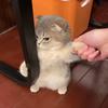 兜兜飛兜兜飛頭像