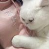 一大瓶氟西汀頭像