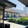 素顏頭像