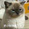 廖半仙頭像