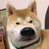 我不是吧頭像
