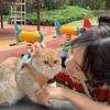 小辣愛吃辣頭像
