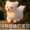 Bubble頭像