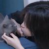 許個愿頭像