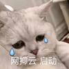 幽默緩釋膠囊頭像