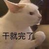 李小菜頭像