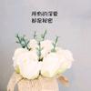 小妮愛分享~頭像