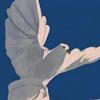 咩咩浩頭像