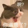 史躍希頭像