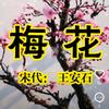 好好做人頭像