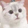 吉吉頭像
