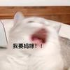 一兩二三肆頭像