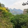 青山綠水頭像