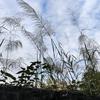 白色逆光頭像