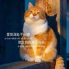 溫柔藏匿于頭像