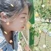 挽風頭像