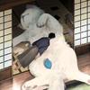 Miyamoto頭像