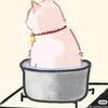 Bxx頭像