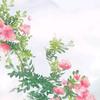 四時如春頭像