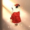 花問頭像