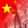 綾靈頭像