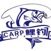 CARP鲤钓