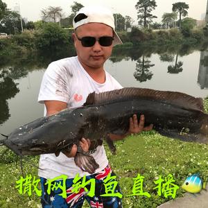 户外渔乐撒网