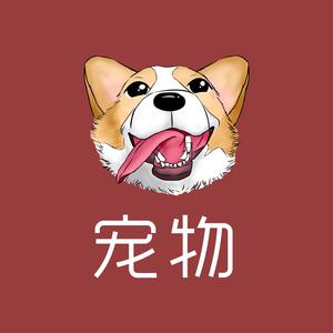 宠物知识讲解员
