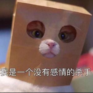 张二狗