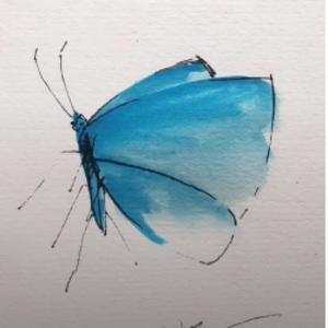 🦋雨纷飞手绘🎨