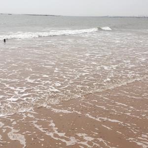 户外赶海毛哥