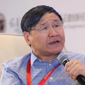 朱少平实话经济论