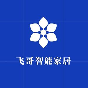 飞哥智能家居