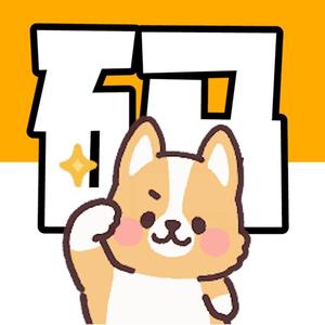 柯基数码