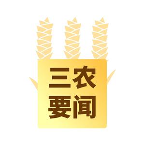 三农要闻