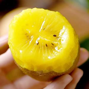 戎洲风物生鲜