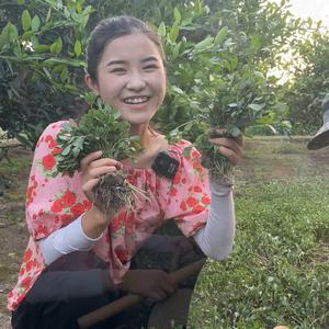 筱兰的生活记录