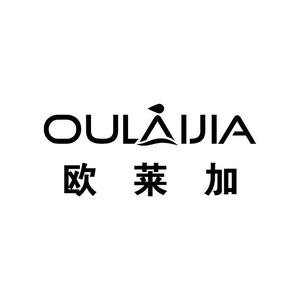 欧莱加美妆旗舰店唇部彩妆
