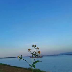尼古拉斯凯奇