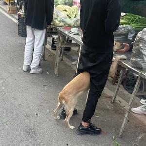 演绎
