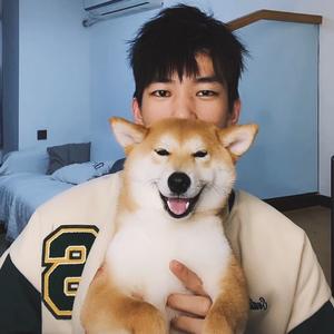 振宇的生活记